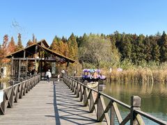 -溱湖国家湿地公园