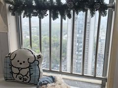 -汪说·狗咖·拼豆·宠物周边DIY(旺城大厦店)