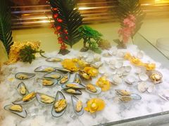 -萧邦音乐会所KTV·蒸汽活海鲜自助(福田店)