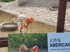 -齐齐哈尔龙沙动植物园