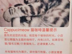 -Cappucimeow猫咪咖啡馆(韦伯时代店)