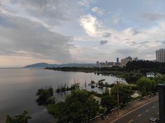 -野菌皇海景野生菌火锅(滨海大道店)