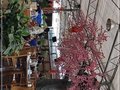 -老磨油饼(高陵店)