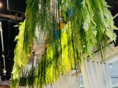 -三个椰子·现砍椰子鸡(金源CBD店)