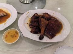 -姚林轩