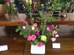 -荷兰花海