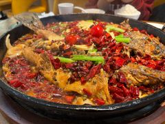 -老板恋上鱼(印象城店)