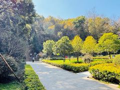 -上海佘山国家森林公园天马山园