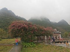 -靖西鹅泉风景区