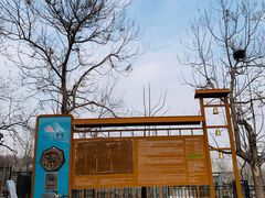 -北京鹫峰国家森林公园