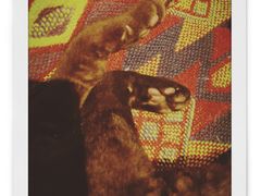 -喵屿·大理花园猫咖