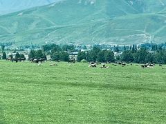 -新疆那拉提国家旅游度假区