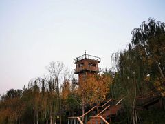-东郊湿地公园