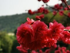 -青青世界