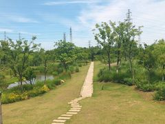 -上海长兴岛郊野公园