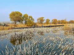 -野鸭湖国家湿地公园