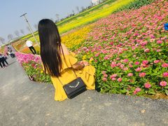 -光明小镇欢乐田园
