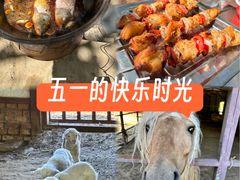 -第五季龙水凤港生态露营农场