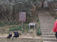 -紫金山山顶公园