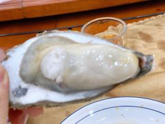 清蒸生蚝-喜相逢海鲜美食城(五邑平价农副产品批发市场店)