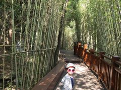 -天河潭旅游度假区
