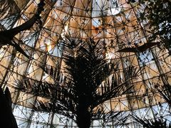 -西峡恐龙遗迹园