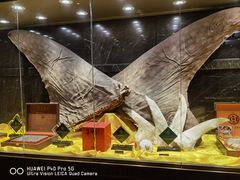 -半岛翡丽海鲜自助餐厅(观风亭店)