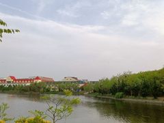 -渡海小渔村.老辈日照菜