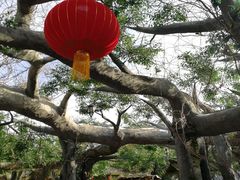 -鞍山岫岩沟汤温泉