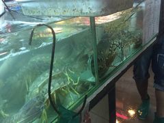 -班赞海鲜市场