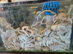 -东海金街市场