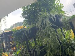 -京北渔家傲