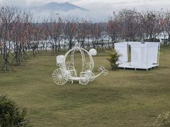 -福建鲤鱼洲酒店