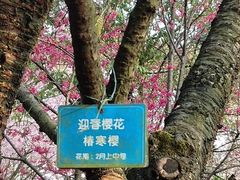 -南山植物园