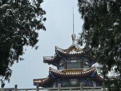 -云龙山