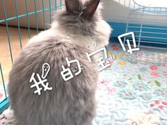 -雨林宠物医院 非犬猫异宠专科