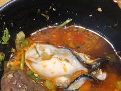 -手选潮汕鲜活牛肉火锅(二七广场店)