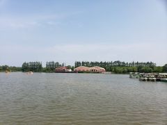 -上海长兴岛郊野公园