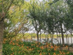 -廊坊文化艺术中心