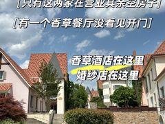 -大塘金香草谷