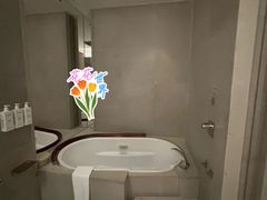 -上海柏悦酒店