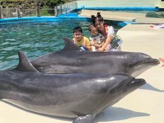 -南紀白浜 浜千鳥の湯 海舟