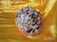 -亚龙湾中心广场·贝壳馆