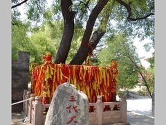 -大槐树寻根祭祖园