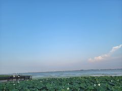 -莲花岛景区