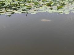 -太阳宫公园