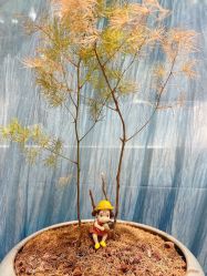 -故事馆手作综合体验馆