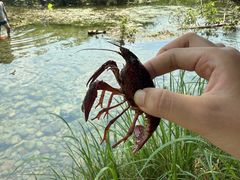 -淇河国家湿地公园