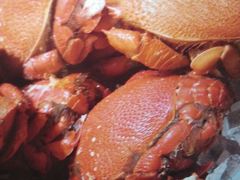 -太原富力万达文华酒店·美食汇西餐厅