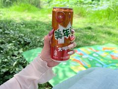 -白鹭湾湿地公园